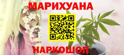 гидропоника Новокубанск