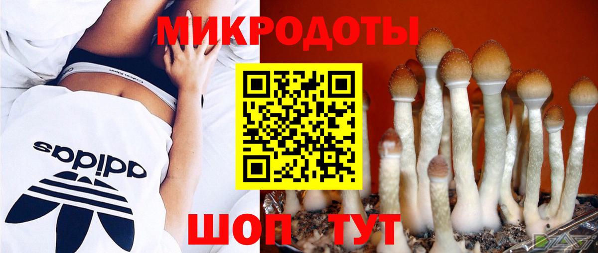 Семилуки  Галлюциногенные грибы прущие грибы  Вход с VPN  дарнет шоп  Галлюциногенные грибы MAGIC MUSHROOMS 