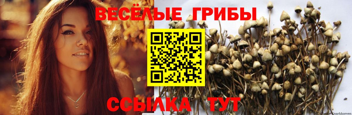 Псилоцибиновые грибы Psilocybe Семилуки